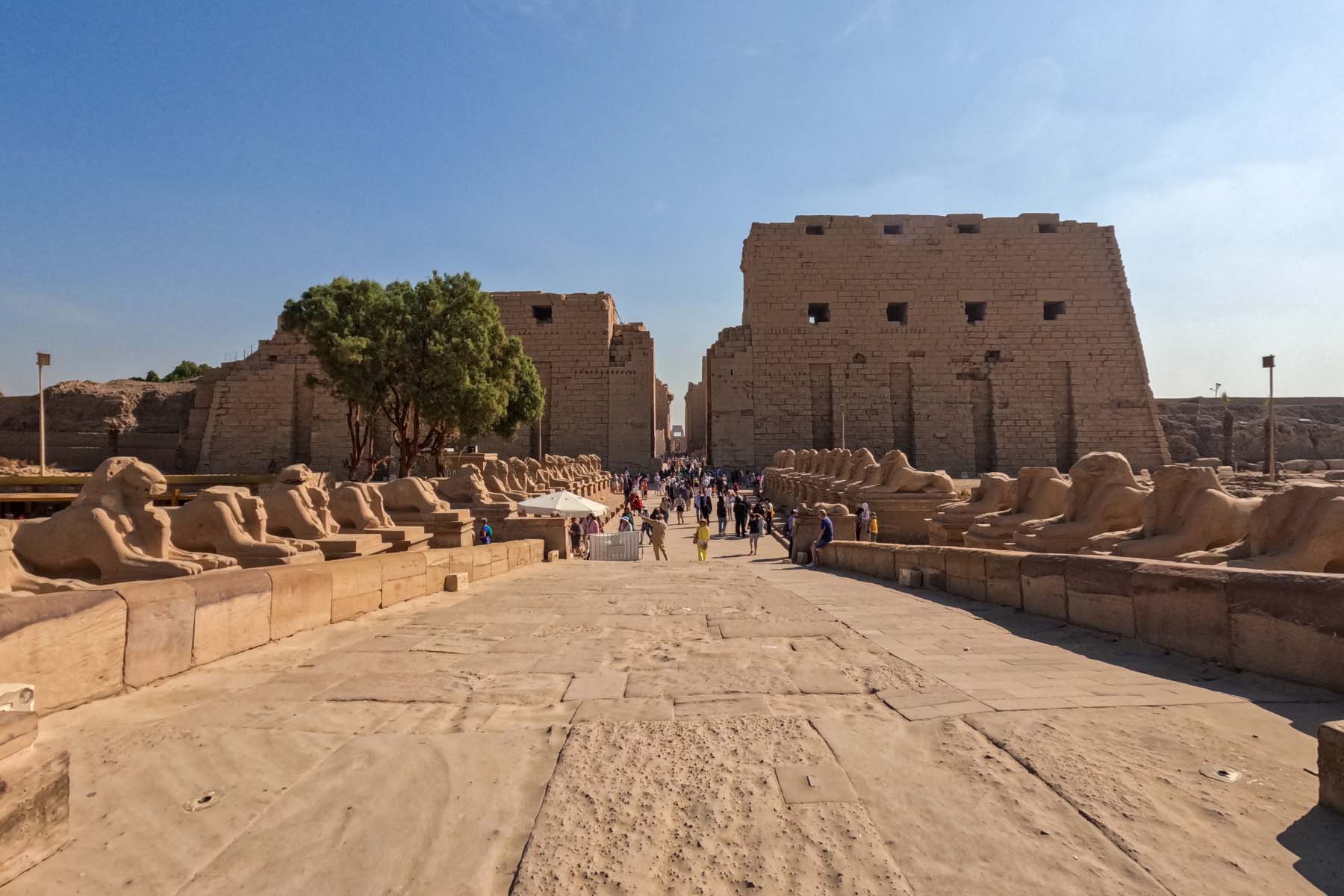 Temple of Habu - luxor - Egypt -Africa -firstman.earth