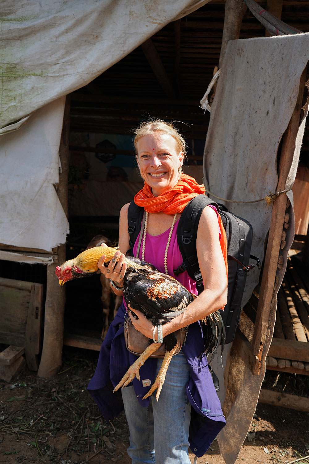 Lady-holding-fighter-hen-munnar-kerala-india-firstman.earth