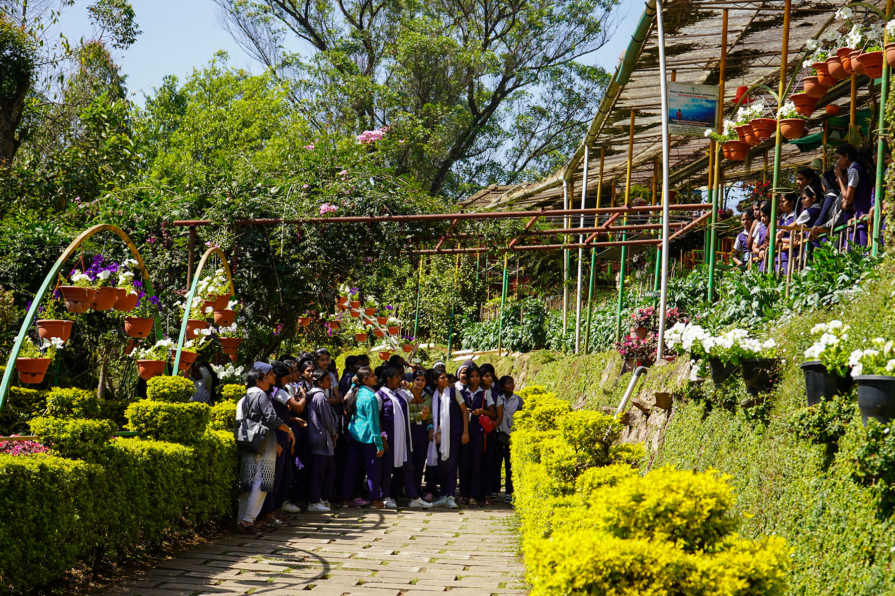 Botanical-garden-school-children-enjoying-a-day-munnar-kerala-india-firstman.earth