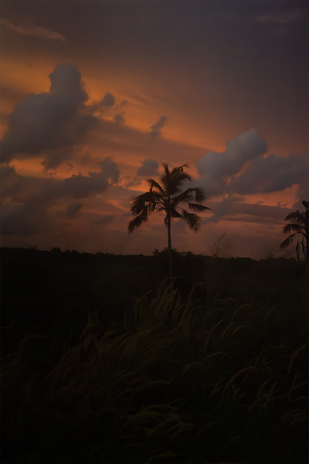 Evening sky in vellayani lake, trivandrum,Kerala,India