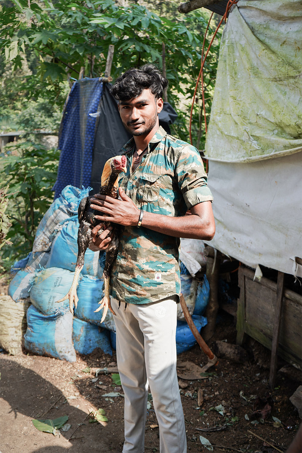 Hen-fight-trainer-holding-hen-munnar-keral-india-firstman.earth