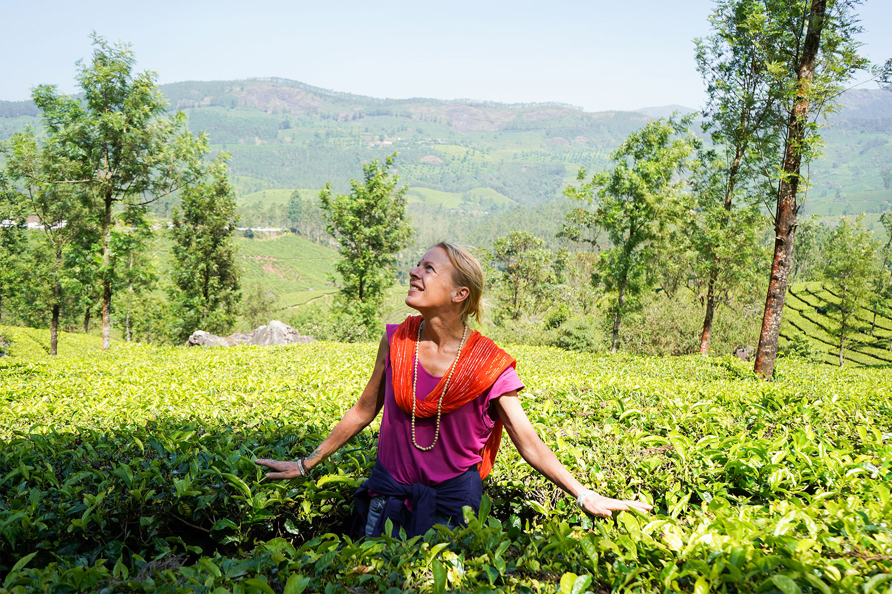 Tourist-munnar-tea-plantation-munnar-kerala-firstmam.earth