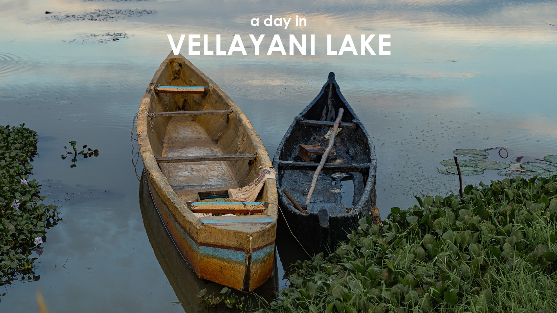 Two boats in vellayani lake - trivandrum, Kerala, India
