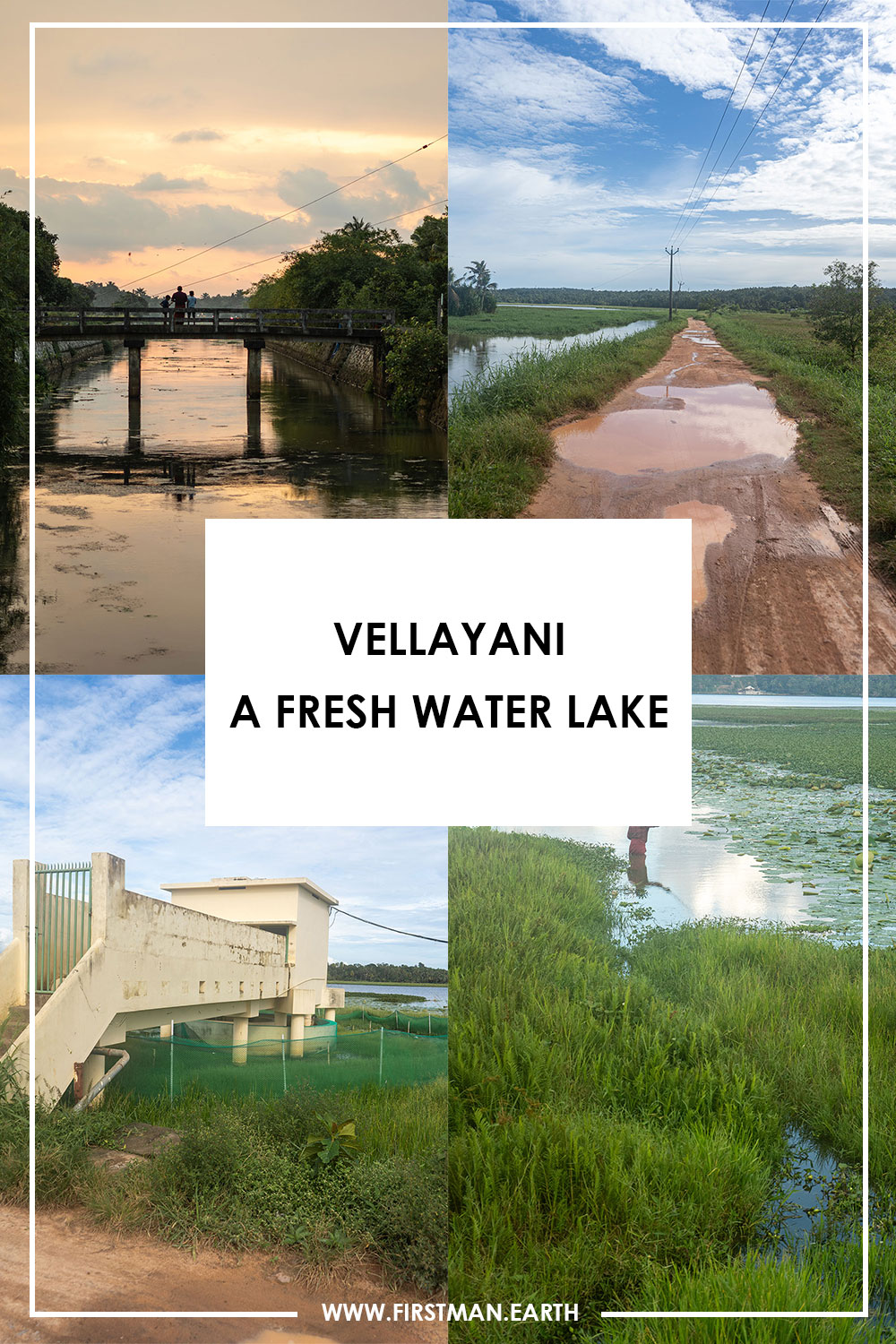 Vellayani-a-fresh-water-lake, Kerala, India