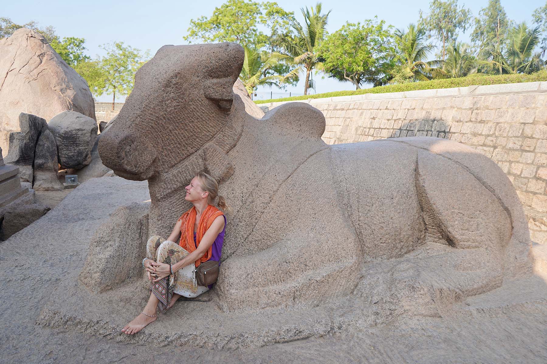 Nandi statue Five Rathas - Mahabalipuram - Tamilnadu - India - firstman.earth