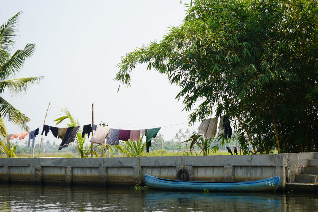 Blue-boat-in-alappuzha-kerala-india-firstman