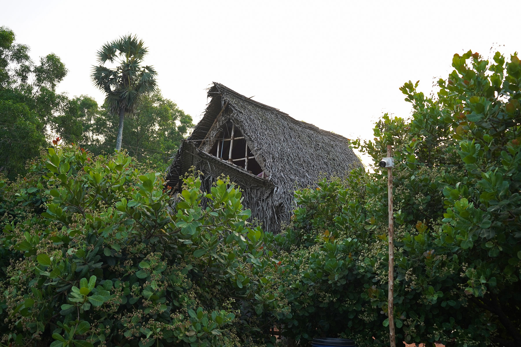 hut-house-front-view-auroville-india-firstman.earth