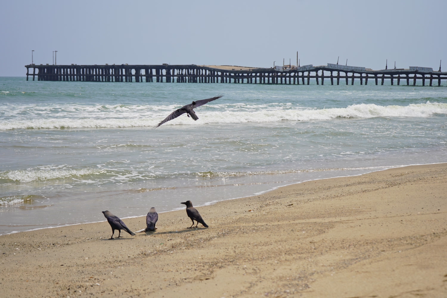 pondy_beach bridge_pondicherry_India_firstman