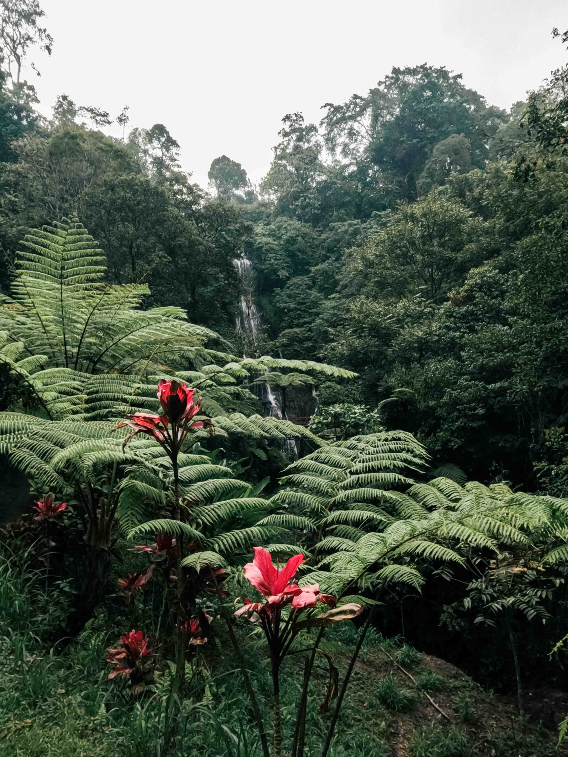 Nung Nung Waterfall, Ubud, bali, Indonesia, firstman.earth
