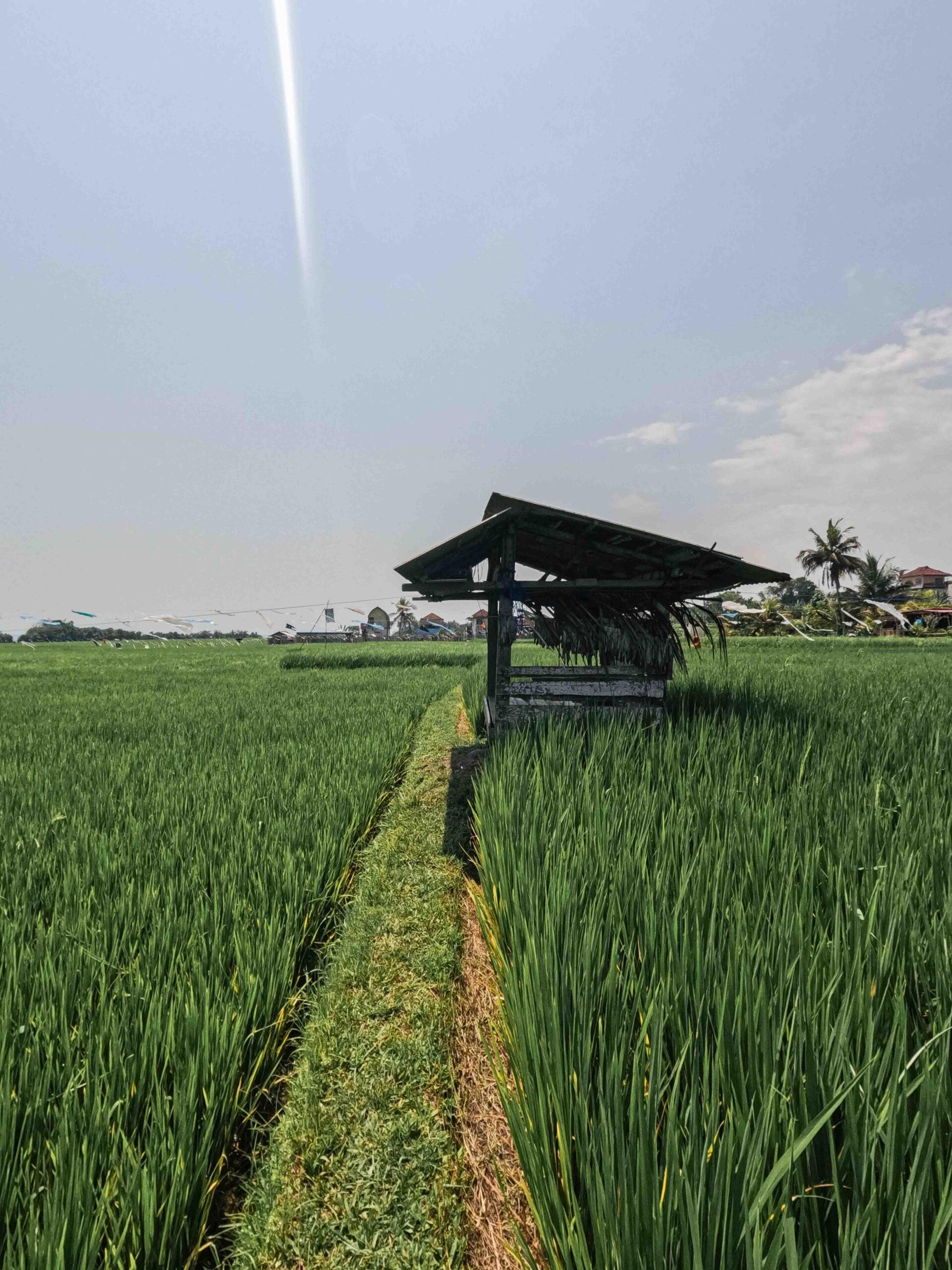 Medewi, bali, Indonesia, firstman.earth