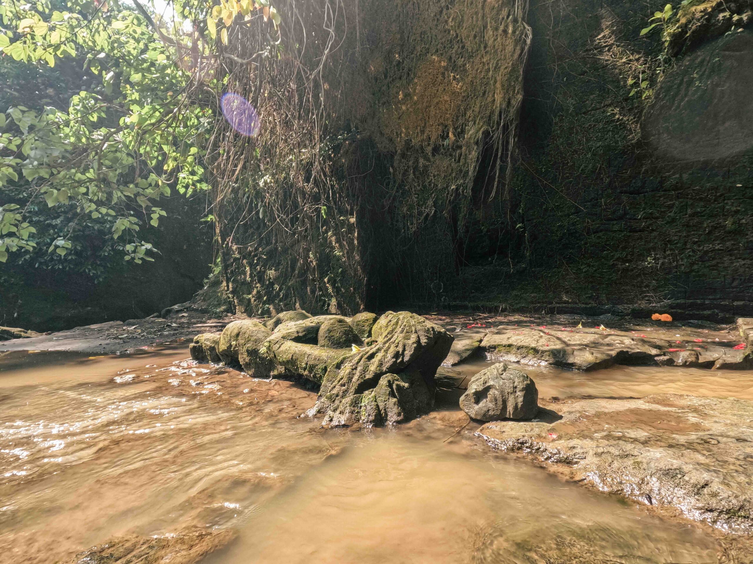 Ubud, bali, Indonesia, firstman.earth