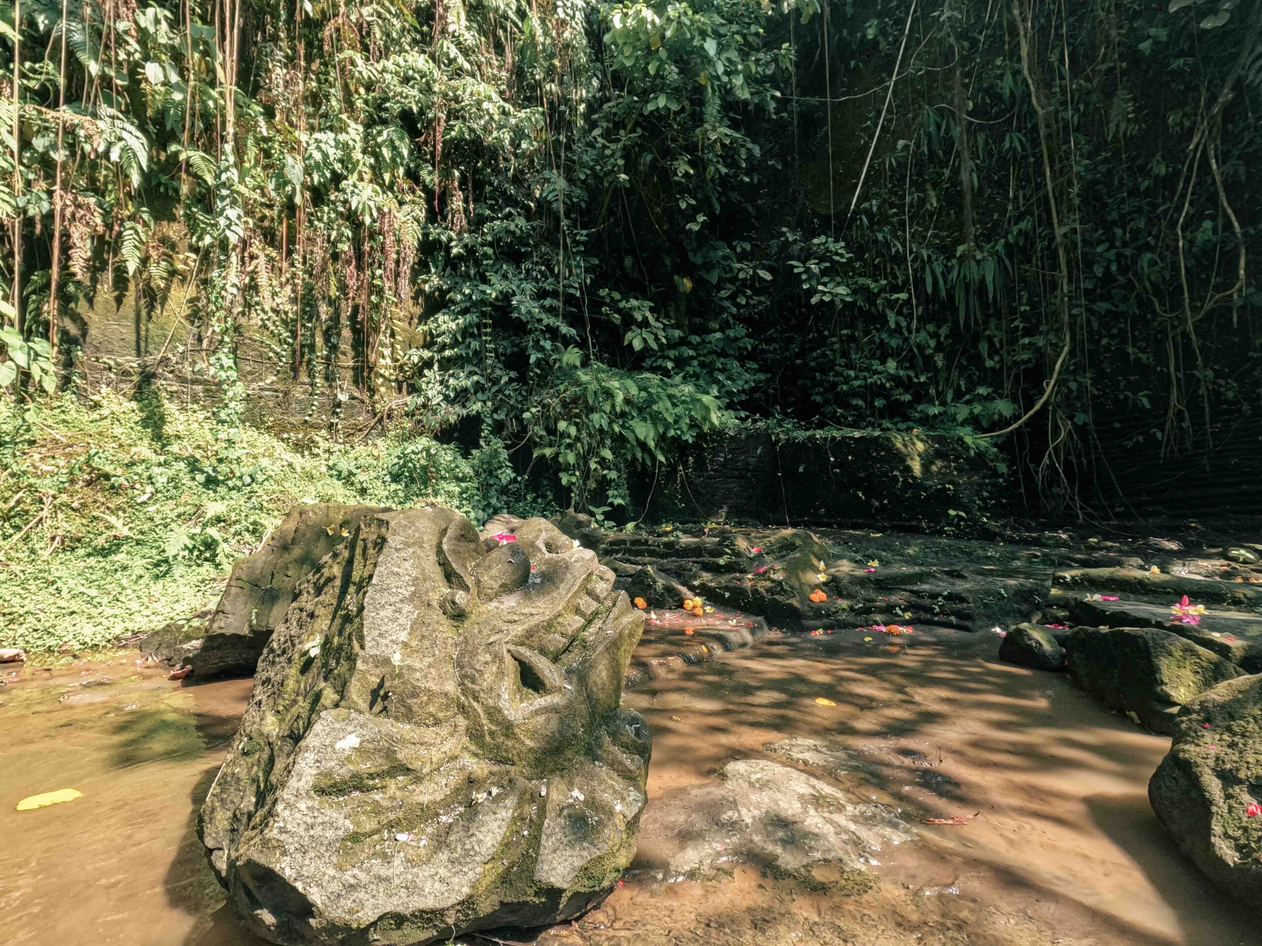 Ubud, bali, Indonesia, firstman.earth