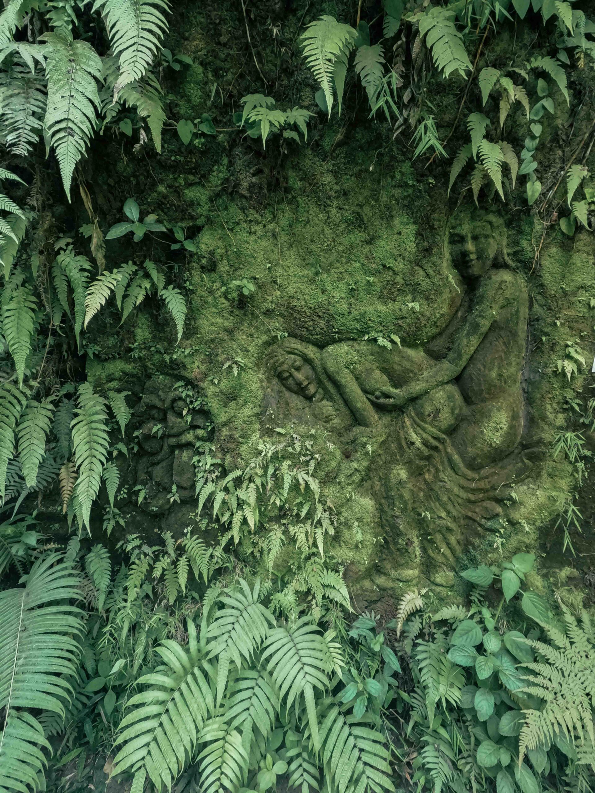 Ubud, bali, Indonesia, firstman.earth