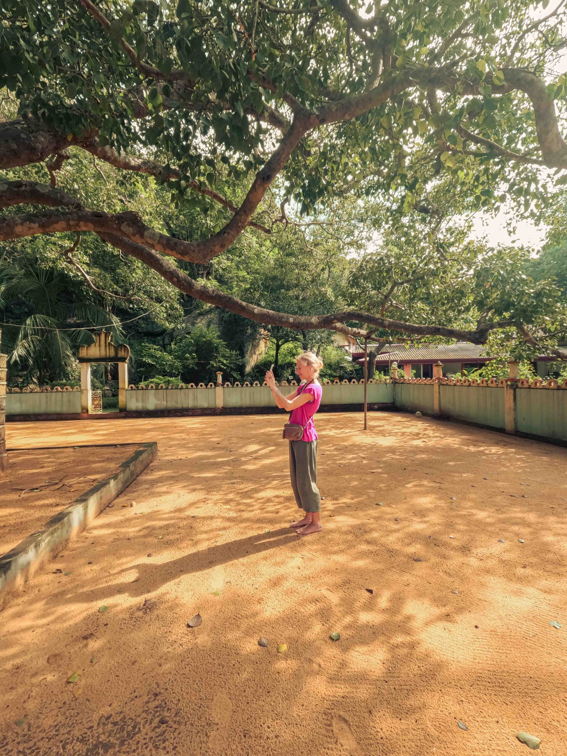 Pidurangala Rock Cave Temple, sigiriya, srilanka